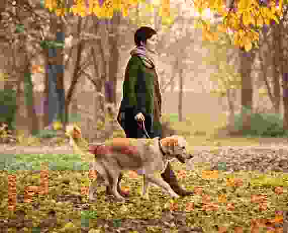 A Breezy Walk into the Peace of Mind event6